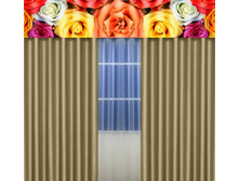 �������� ��������, ���� 1800 ���