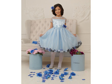 ������ "�����-1"(9007)