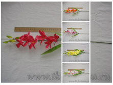 20-2019 ����� ������ 70 �� 28,1�