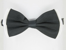 Bt-3-450 ���.JPG