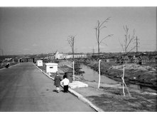 ���� ����� �� ��������.jpg