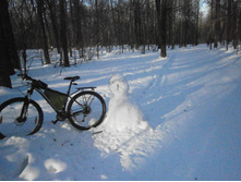 �������� �����������