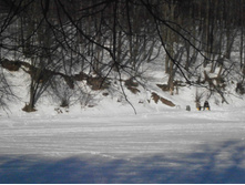 ����������