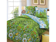 ��������� ����.jpg