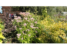 ��������� ����������������