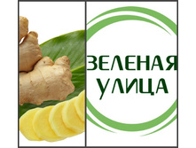 ������ -55 ���.