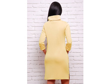 Plate-collar-pl-1289c 3.jpg