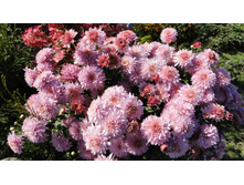 ���������� ������