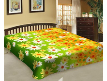 ������ �����