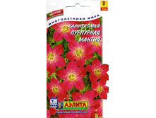 ���������� ��������� ������ 16 ���. 2 ��.