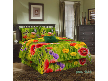 ������ ����.jpg