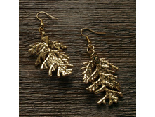 ������ "�������" ������