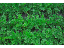 �������� ����������������� ��������. - 16 ���.. �������� 10 ��..jpg