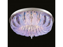 366010312 7200p (20500p).jpg