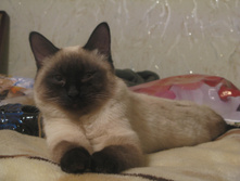 IMG 3346.JPG