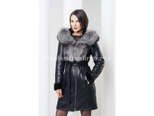 D-146 �������� � �����������, ���� ������