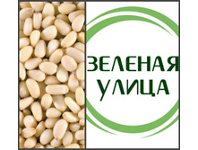 �������� ���� ��������� -202 ��� ����� ����-127 ���.