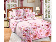 ������� 2.jpg