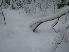 IMG 7480.jpg