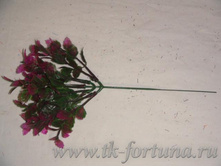 20-2069� ����� ������� 23 ��., 5 �����, �������, ��������� 16.50