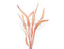 9850 ������ ��������� ������� (10) 299�.jpeg