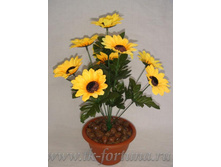 18-035 ������ � ������ "���������" 34 ��., 9 �����, �������, ������, ����� 159.00