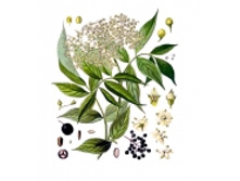 ������ ������, ������, 50� ������������� ����