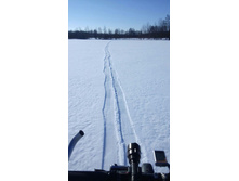 Photo 2016-02-28 19-33-14.jpg