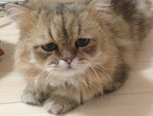 � ����� ��� - � ������� ...