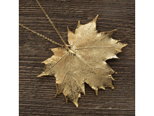 ����� "���� ��������� ����" ������, ���������. �������