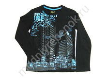 ���. 0495 DSBTD.jpg