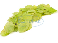 8472 ������� ������ ��̣��� ������ (20 ��.) 99�.jpeg