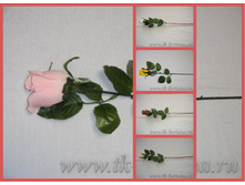 20-1973 ���� ����� 28,5