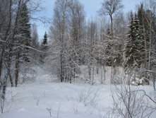 IMG 7478.jpg