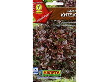 ����� ����� 8 ���. 20 ��.