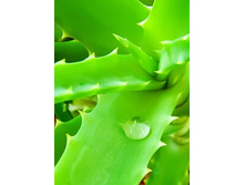 ����� ���� ���� 100 �� - 203 ���. � ������� �����.jpg