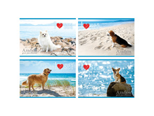 ������ ��� ��������� 24�. �4 �� ������� ������ � ���� 25,14.jpg