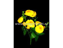 ����� ������� �-25�� ��-4296 55���..jpg