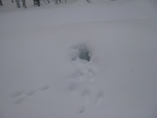 IMG 7495.jpg