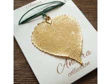 ����� "���� �����" ������, ���������. �������.