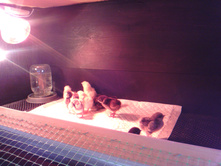 IMG 20160226 135749.jpg