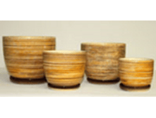 R1029 �������