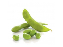 ������� ������ ���� �������, 500 � �����