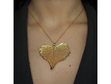 ��. ���� ����