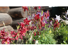 ��������� ��������