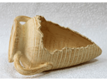 ������ 18