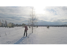 2016-02-06 14.36.54 cr.jpg