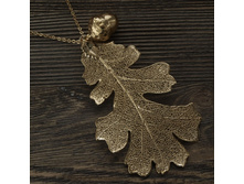 ����� "���� ���� � �������" ������, ���������. �������