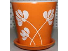 5666 ���������