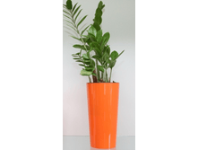 546 ��������� ����� �����.������ � ��������� 300*300